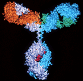 Biologicals 3 V13E17 Biologicals 3 V13E17