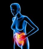 IBD 1 IBD 1